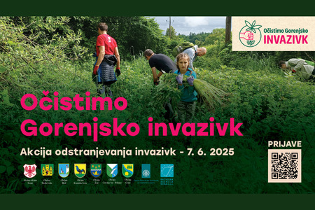 Teden brez invazivk