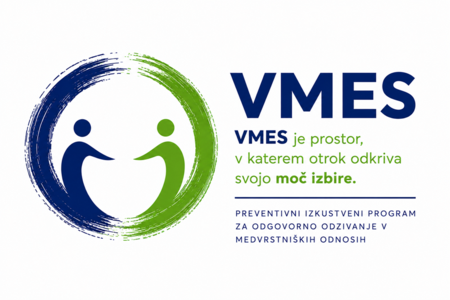 VMES